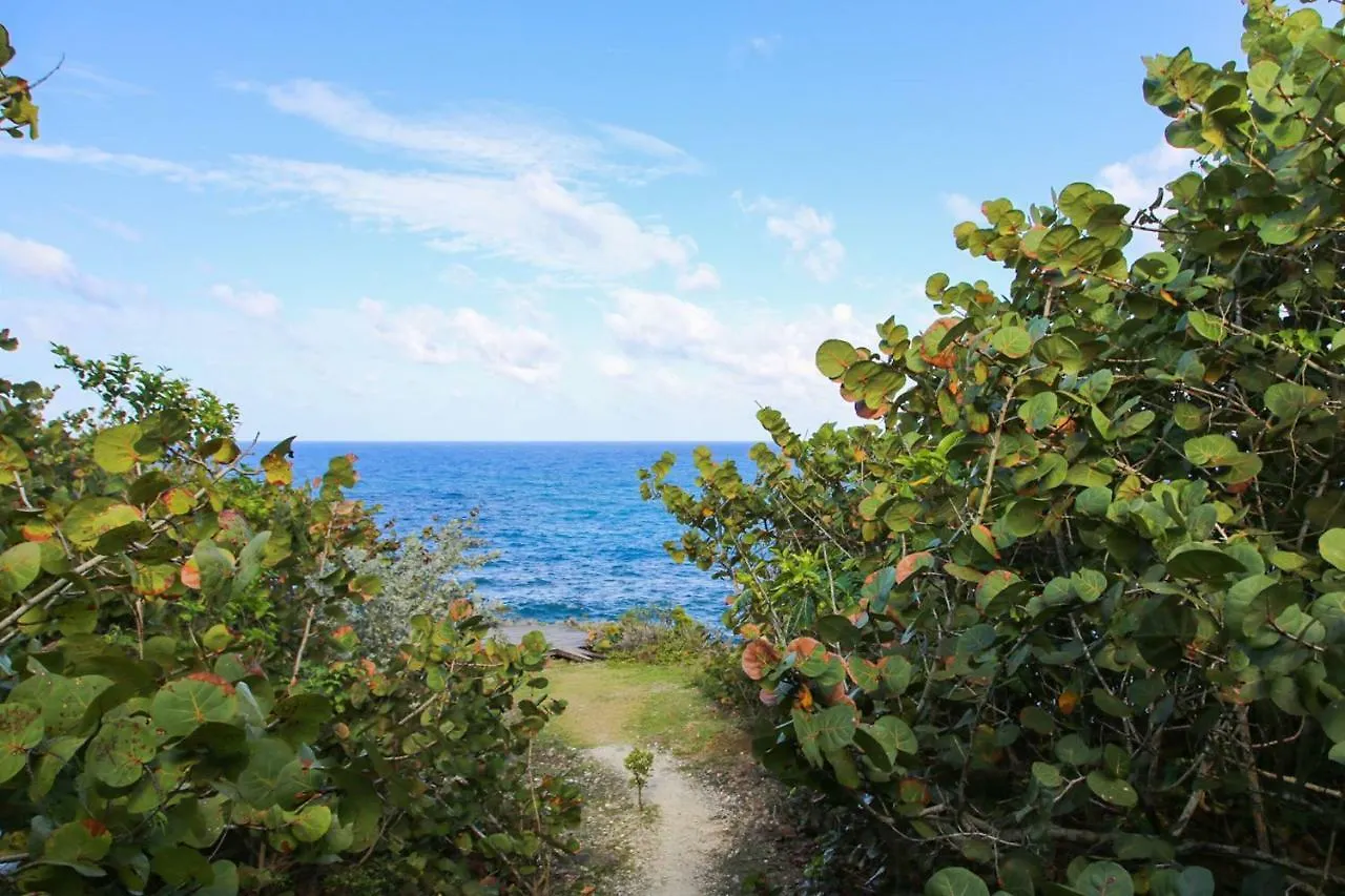 Lodge Villa Great Huts Boston Bay Jamaica